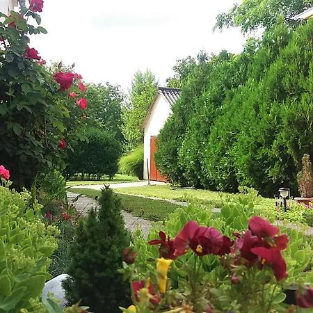 Julia Vendeghaz Sarrod Otel Dış mekan fotoğraf