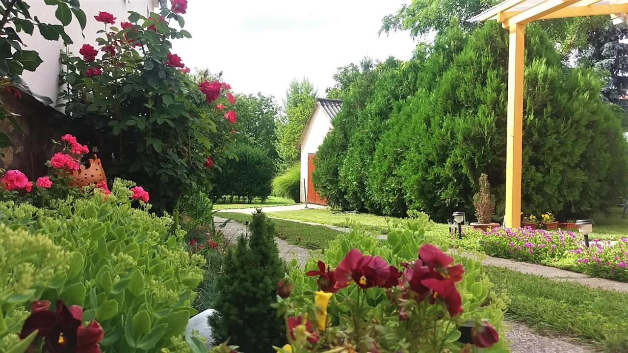 Julia Vendeghaz Sarrod Otel Dış mekan fotoğraf
